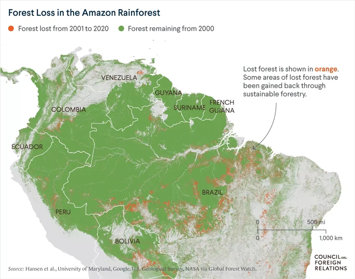 Man Sprinkles 100 Million Seeds Above Amazon Forest From 6,500 Feet