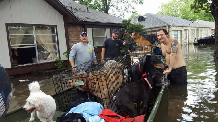 Hurricane Harvey animal rescues