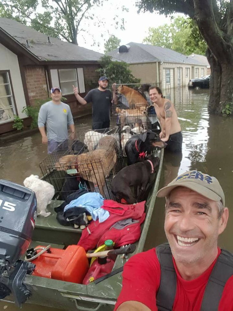 Hurricane Harvey rescue of 20 dogs