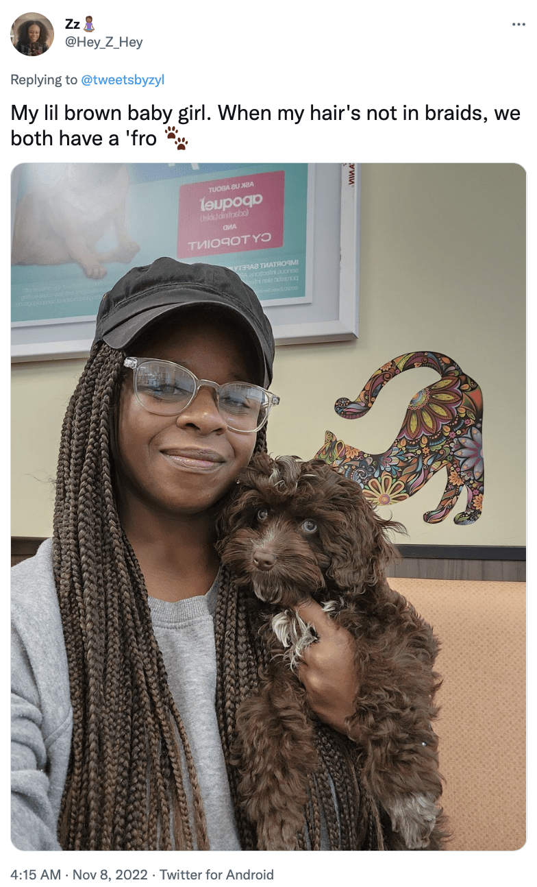 Glasses - Zz& @Hey_Z_Hey pre Replying to @tweetsbyzyl My lil brown baby girl. When my hair's not in braids, we both have a 'fro TUOBA BU X2A loupoqo (side dinosbo) ОИА ТИIOЧОT YO КУТЕРА? ТИАТЯОЧИ SA andstoalni auonne sinnble ouiamog : 4:15 AM Nov 8, 2022 Twitter for Android