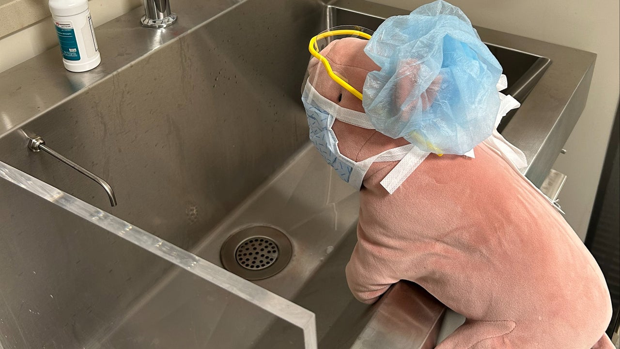 Nurse takes stuffed animal on hospital adventure after young ...